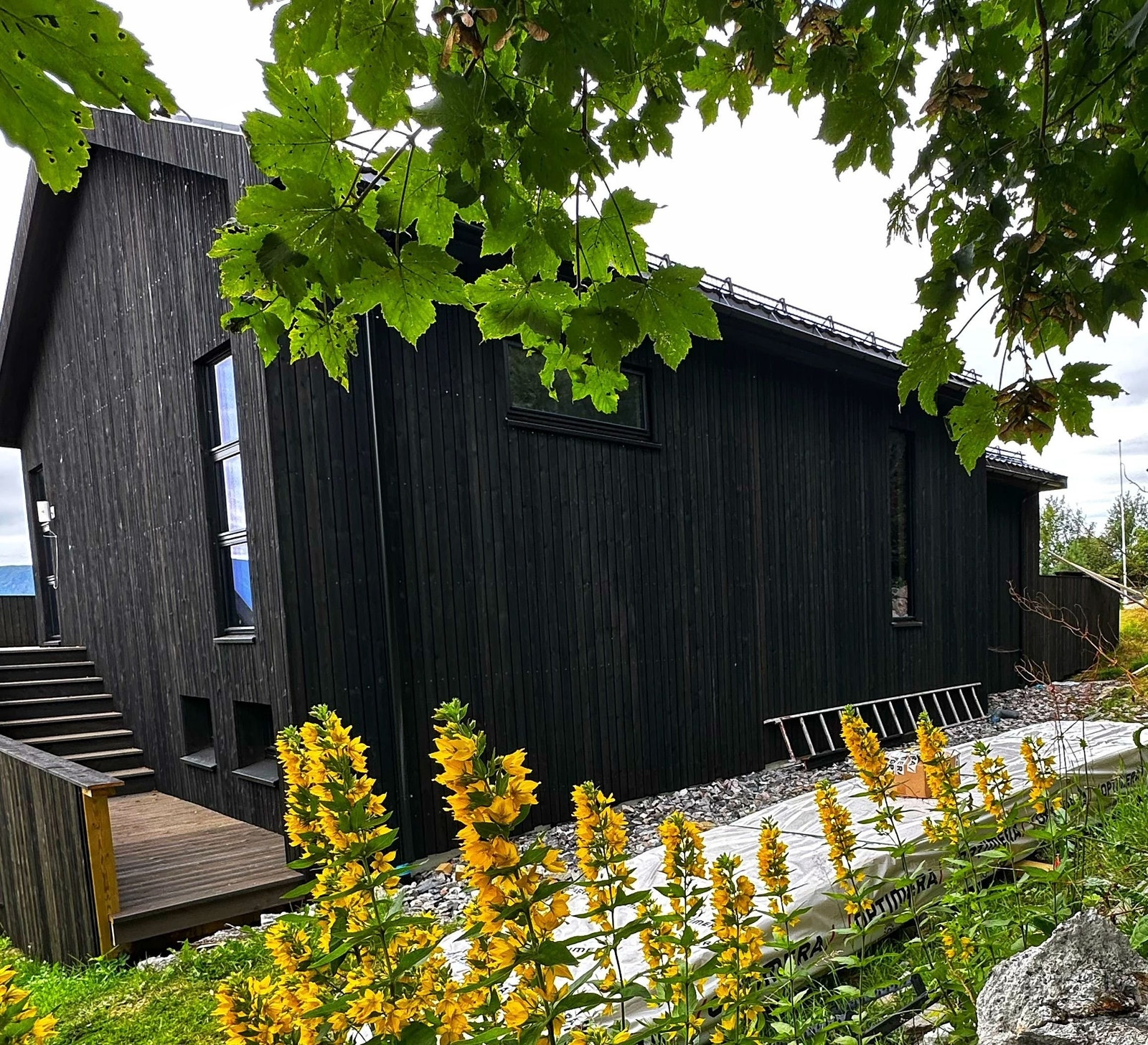 Bakside av huset slik det er i dag Galleribilde