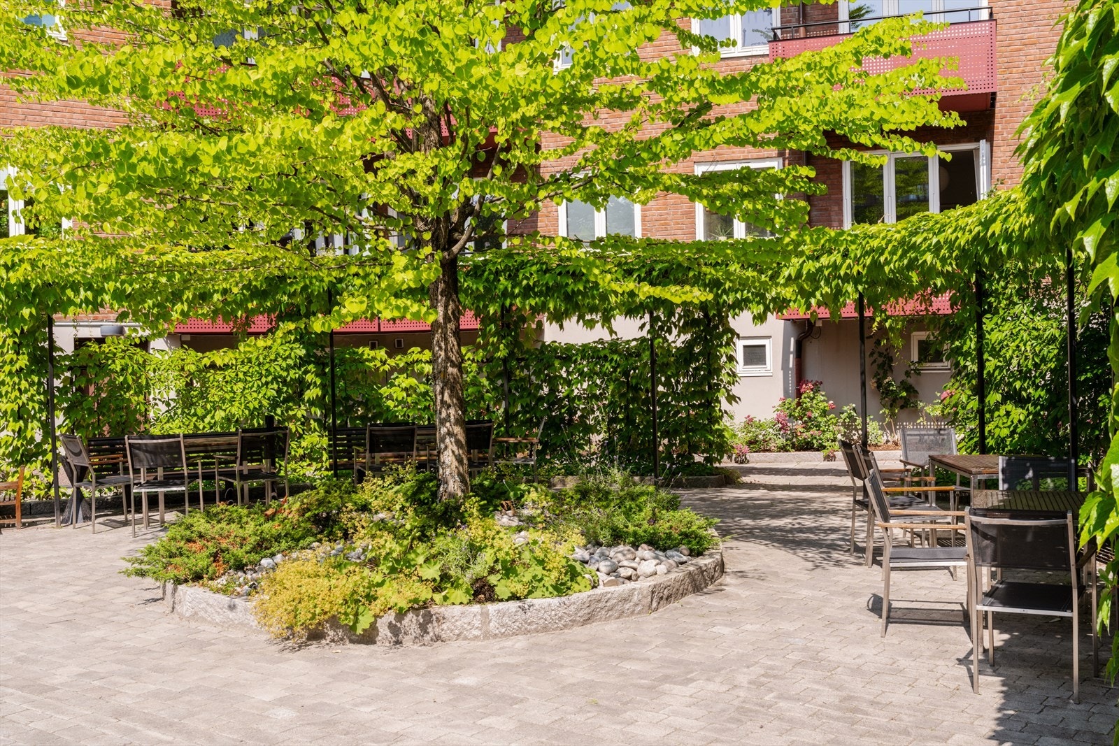 Borettslaget har nydelig, skjermet bakgård med flere sittegrupper, felles grill og beplantning. Galleribilde