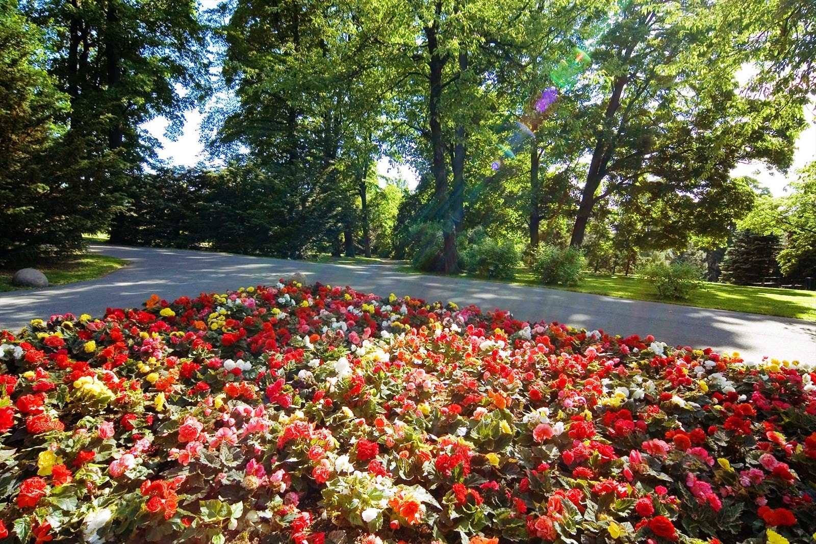 Ca. 450 meter unna, i enden av Motzfeldts gate, ligger vakre, Botanisk Hage. Galleribilde
