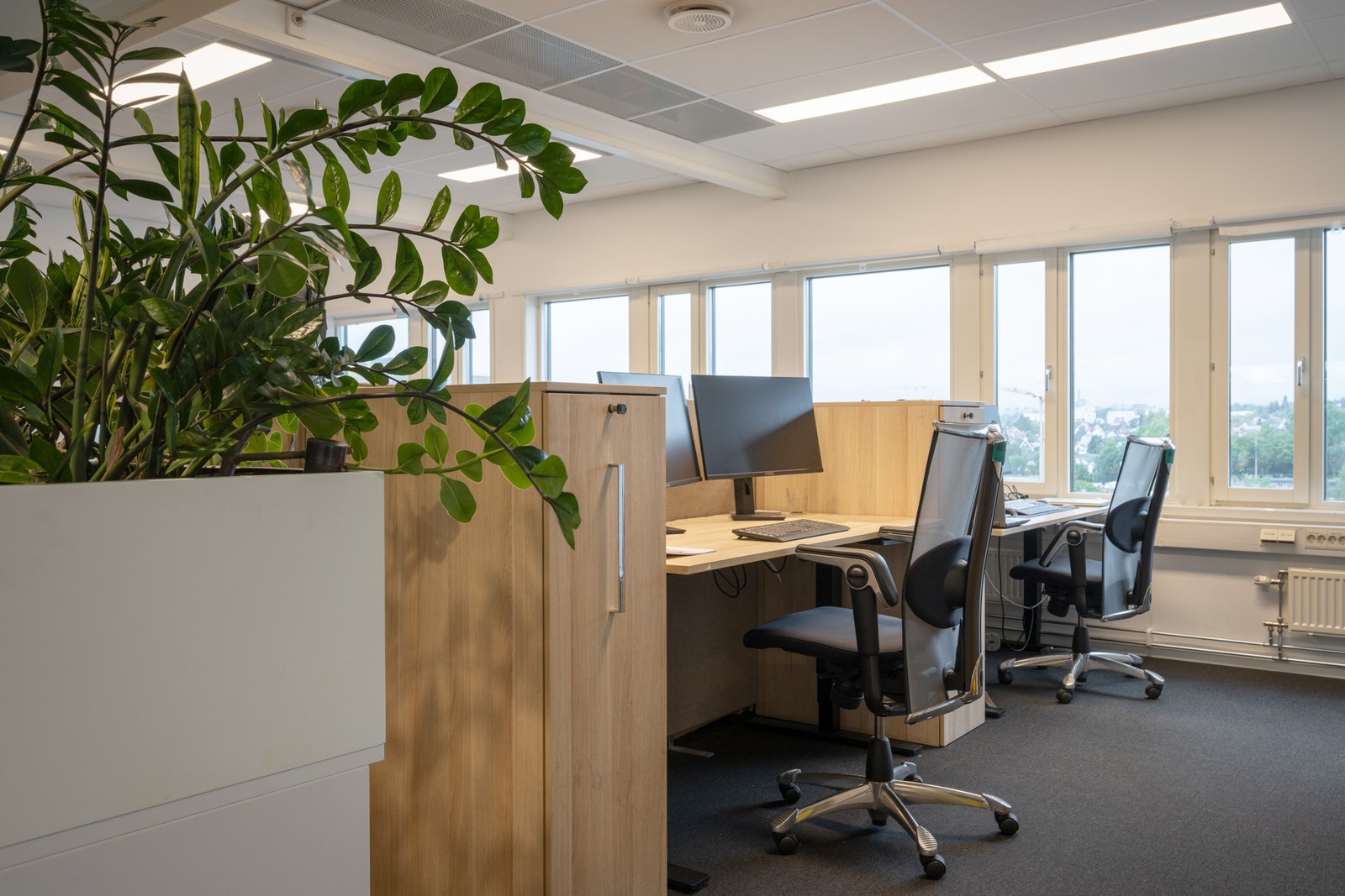 Muligheter for åpent landskap og cellekontorer (6.etg) Galleribilde