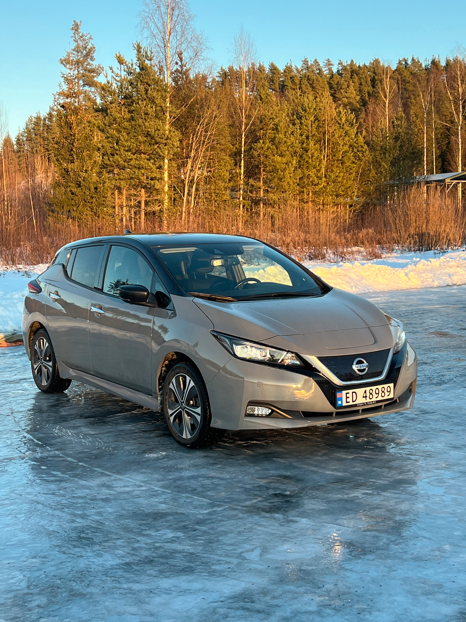 Nissan Leaf 62kWh e+ N-Connecta 3