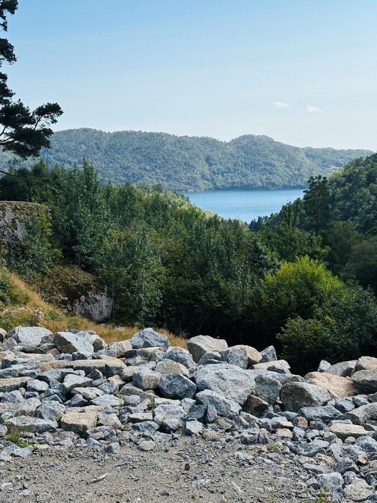 Utsikt fra den aktuelle hyttetomten