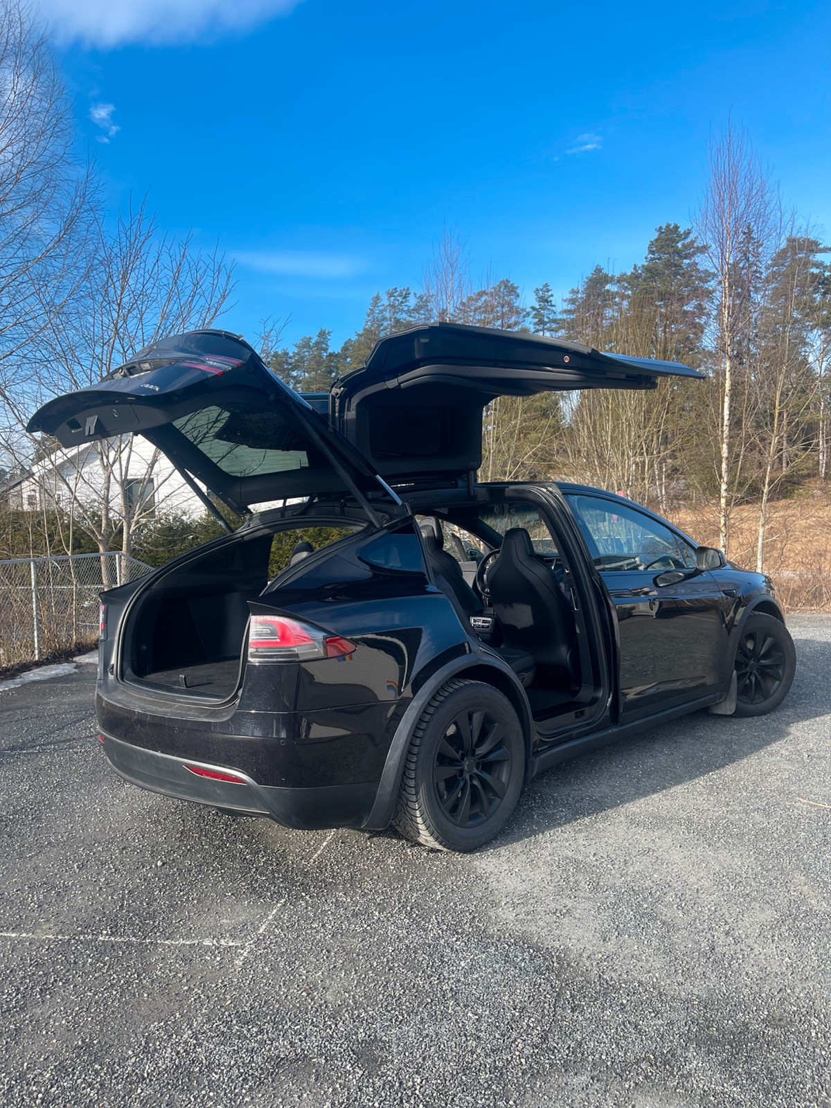Tesla Model X 100D 4WD 5-s 2