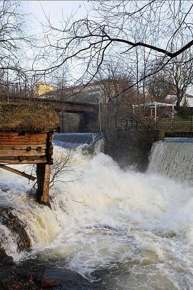 Fine naturopplevelser ikke langt unna... Galleribilde