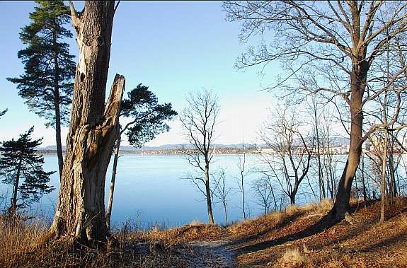 Gangveien ned til stranden Galleribilde
