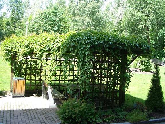 Fellesområde Galleribilde