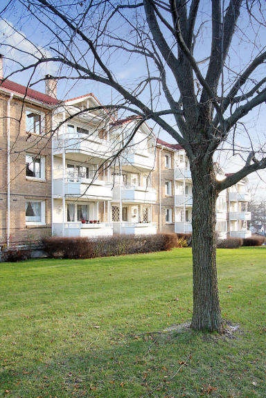 Stående bilde Galleribilde