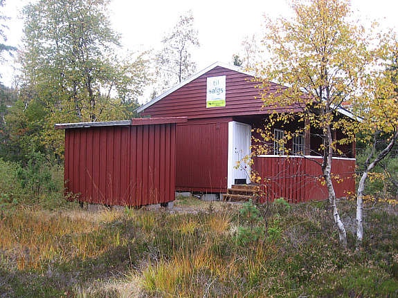 IMG_1492 Galleribilde