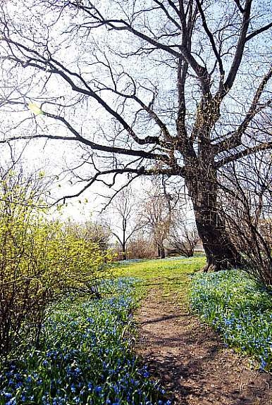 Omraade_3 Galleribilde