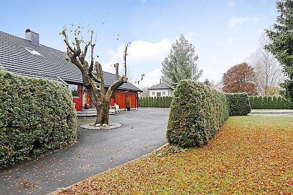 Deler av gårdsplassen og hagen, østsiden. Galleribilde