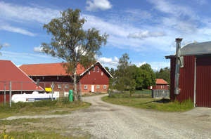 Fjeld Gård Galleribilde