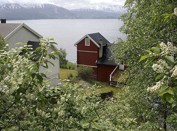 Flott utsikt utover sjøen. Galleribilde