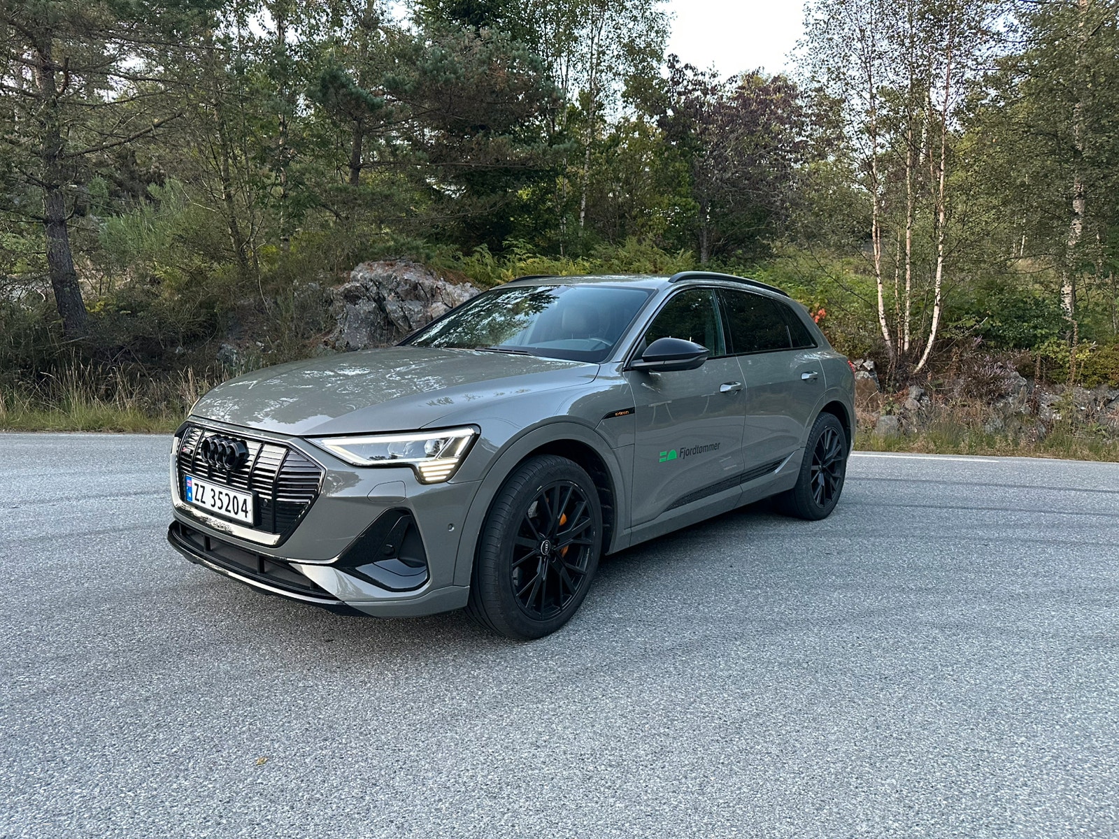 Brukt Audi E-Tron 
