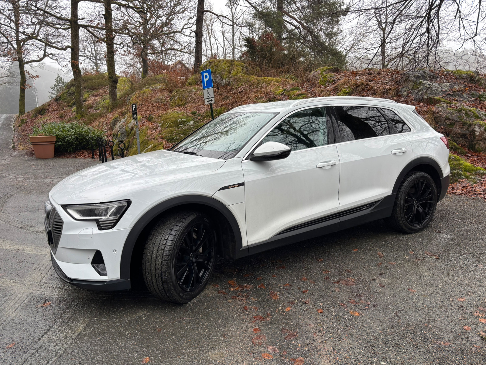 Audi e-tron 50 3