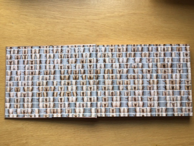 Penisatlas | FINN-torget