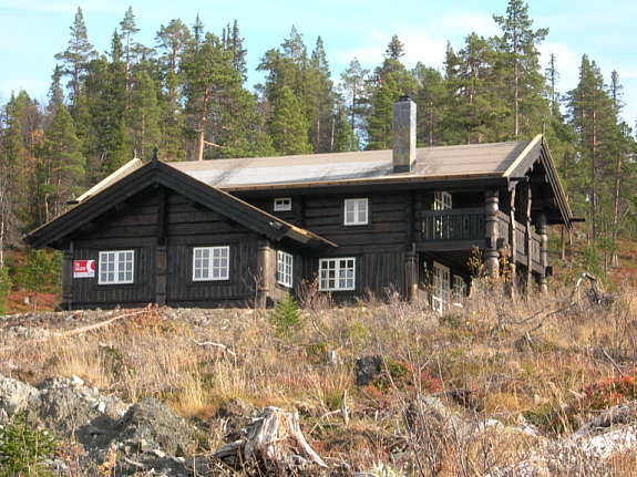 Modell: Trollset Galleribilde