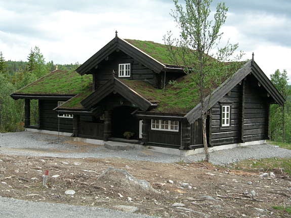 Modell: Storefjell Galleribilde