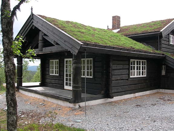 Modell: Storefjell Galleribilde