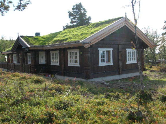 Modell: Liefjell Galleribilde