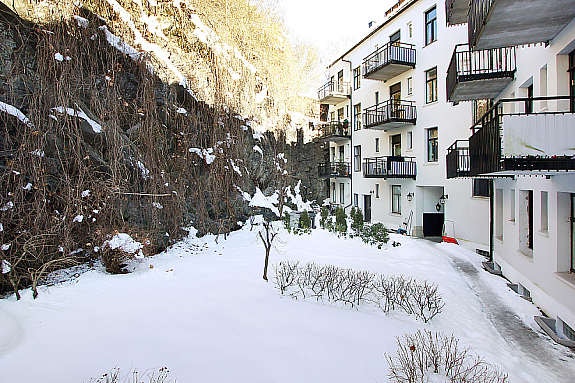 Bakgård Galleribilde