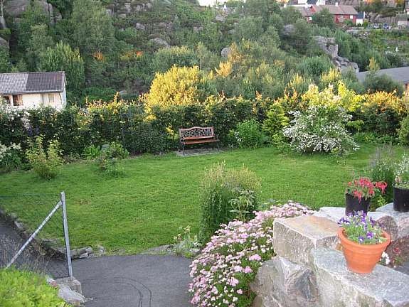 Sommerbilde av hage tatt av selger Galleribilde