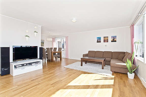 Stue med kombinert parafin og vedovn. Galleribilde