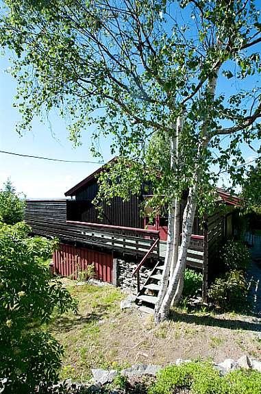 Fasade. Skrånet tomt opparbeidet med plen, prydbusker og beplantning. Galleribilde