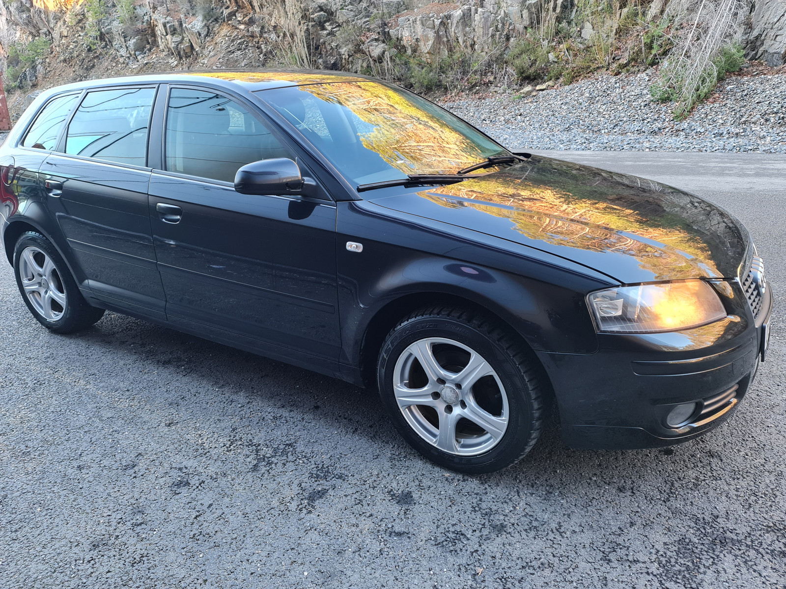 Audi A3 1,9 TDI 105 hk S tronic Sportback DPF 3