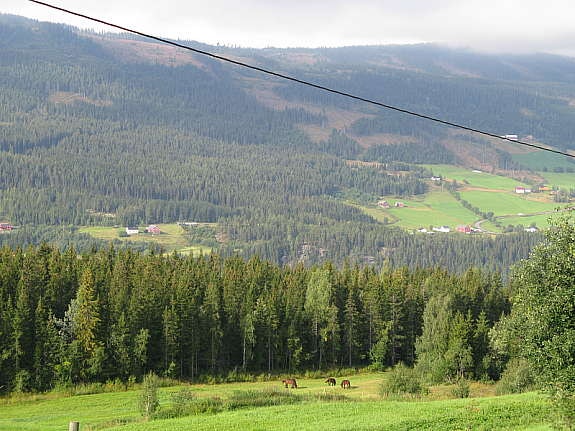 Flott utsikt utover dalen Galleribilde