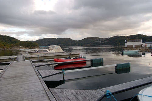 Båtplass i Svenevikbukta Galleribilde