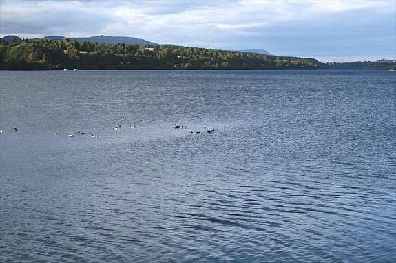 EB nordover 01 Galleribilde