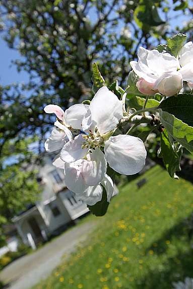 Uteområde_2_LOW Galleribilde