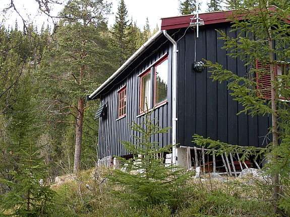 Hytte Galleribilde