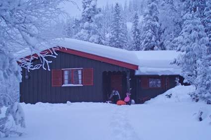 Vinterbilde Galleribilde