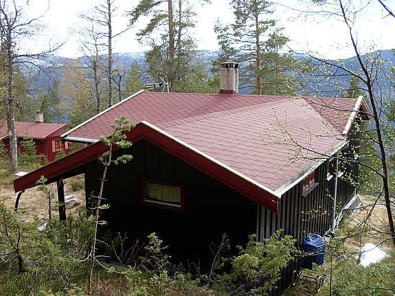 Nytt tak Galleribilde