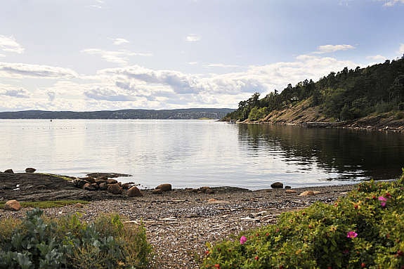 Nærområde Galleribilde