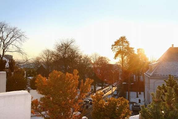 Utsikt mot sør med fjordglimt. Galleribilde