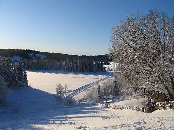 Utsikt vinter Galleribilde