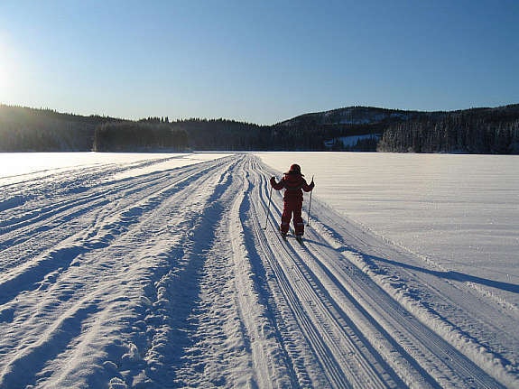 Stemning vinter Galleribilde