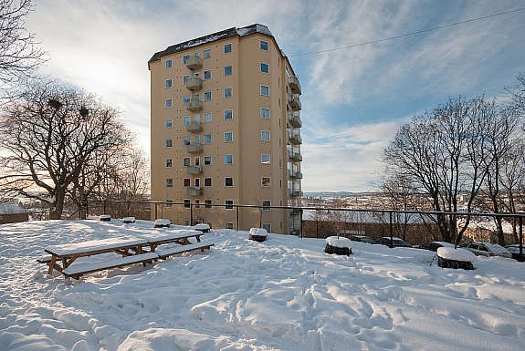 Flott opparbeidet uteplass med benker og vannpost. Norsk Billedhuggerforenings skulpturpark ligger i forlengelsen av uteområdet. Galleribilde