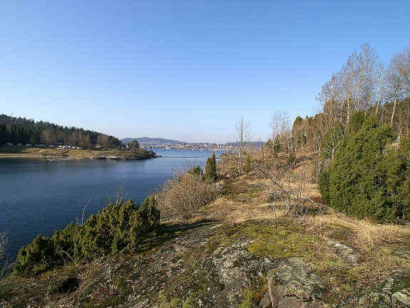 Utsikt mot Brevik fra tomten Galleribilde