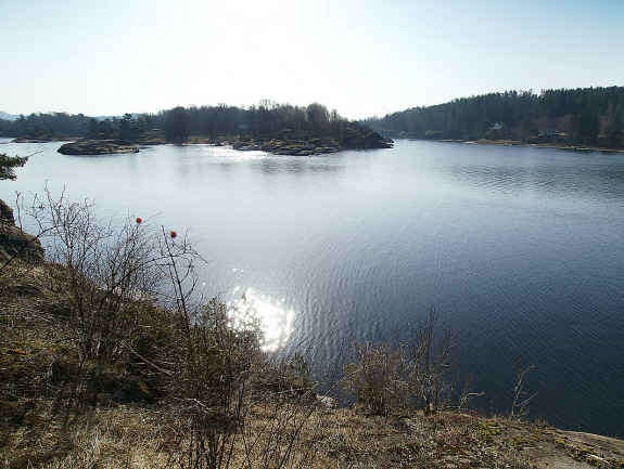 Utsikt fra tomten Galleribilde