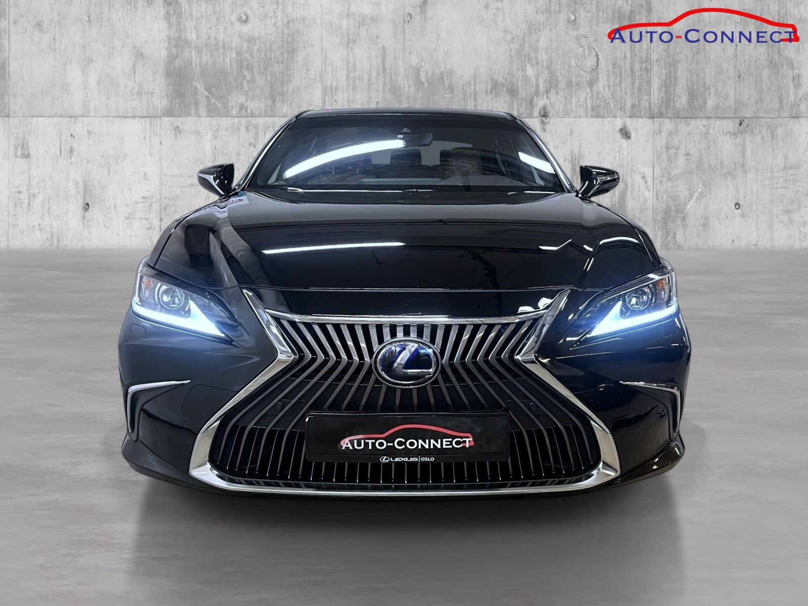 Lexus ES 300H/ SOLTAK/ SKINN/ ACC/ APPLE CARPLAY/ DAB/ EL SETER 3