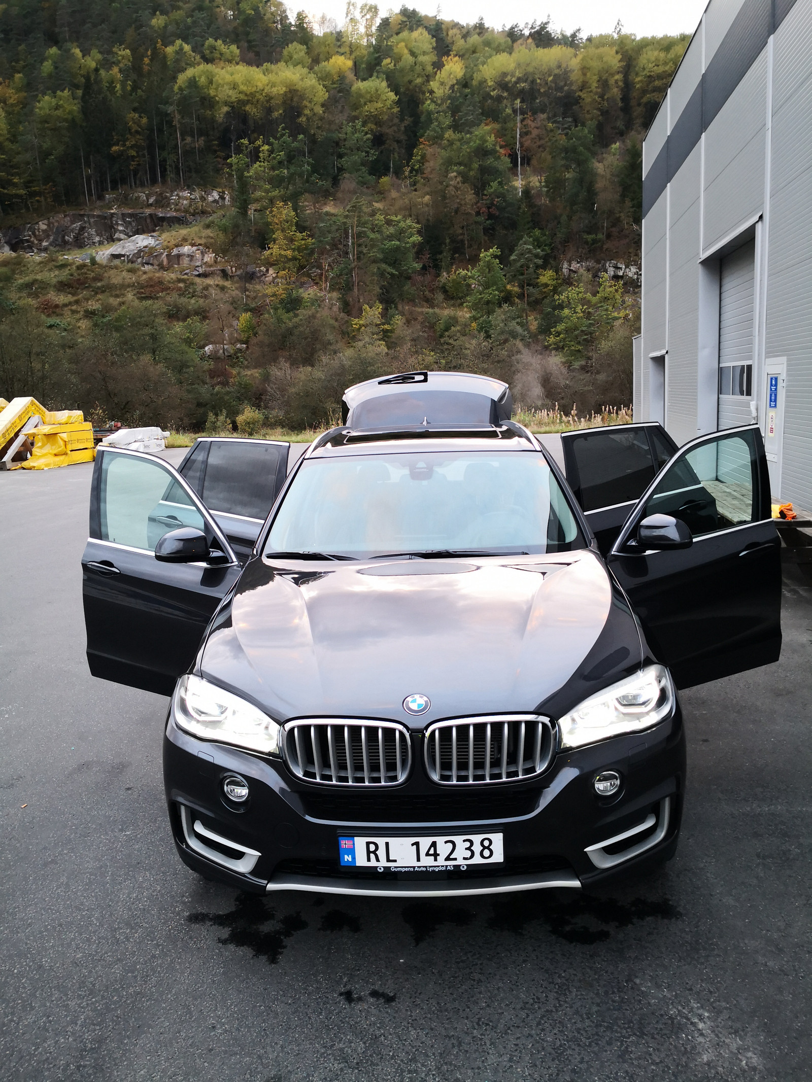 BMW X5 X5 xDrive40e 2