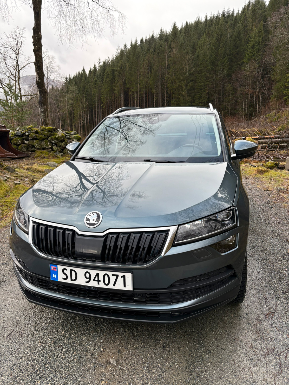 Skoda Karoq 2,0 TDI 190hk 4x4 Style aut (K) 3
