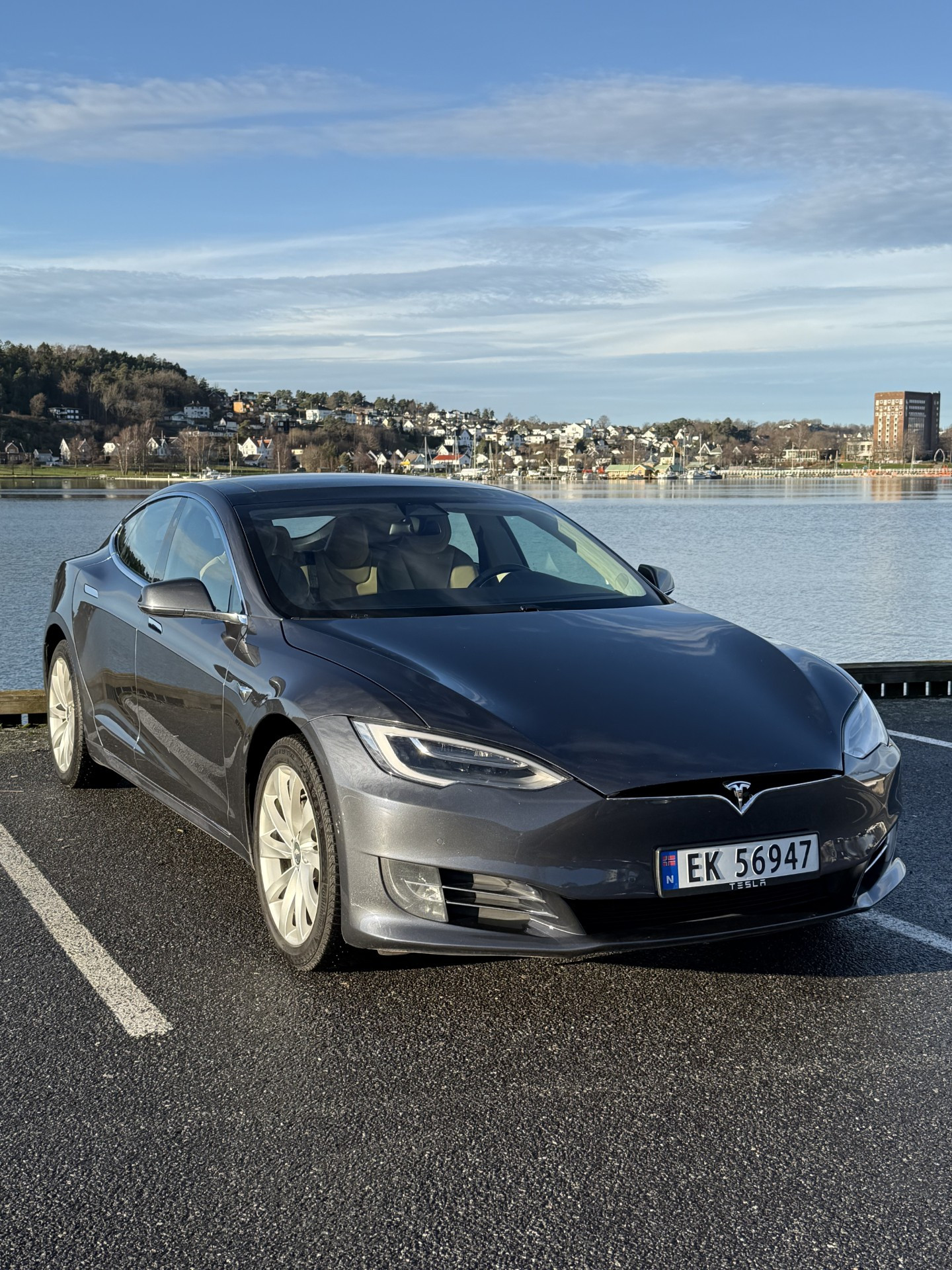 Tesla Model S 100D 4WD 2