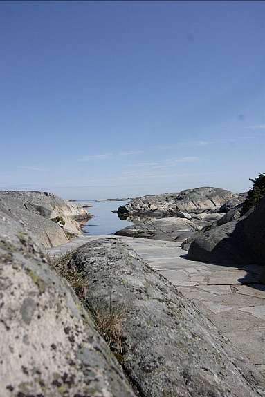 miljo_1854_1492127 Galleribilde