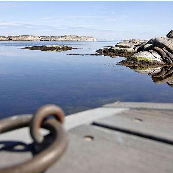 detalj_1854_43681998 Galleribilde