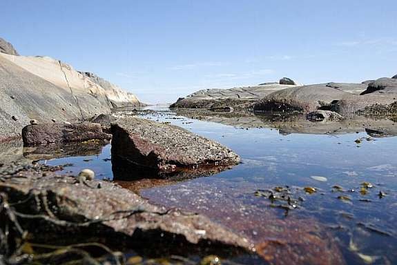 ute_ute1 Galleribilde