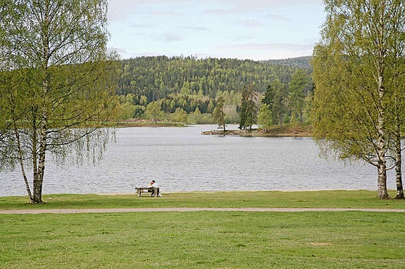 Bogstad vannet Galleribilde